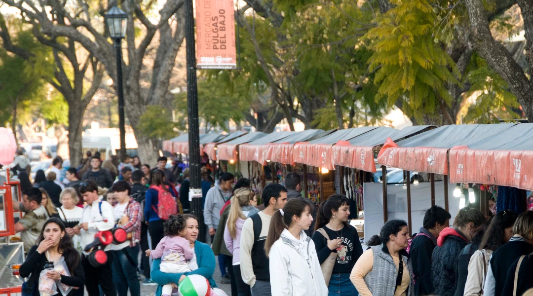 Mercado de Pulgas del Bajo