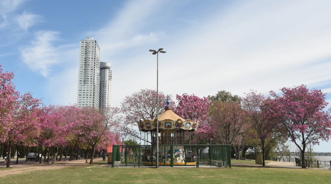 Discover the carousel tradition in Rosario