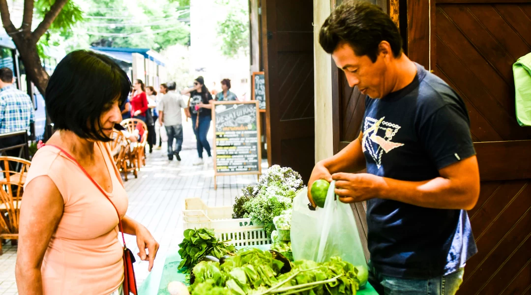 Vereda: Mercado agroecológico del Gallardo