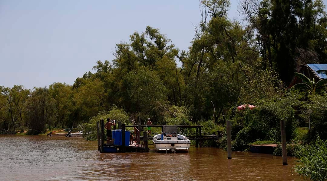 Vida de Río